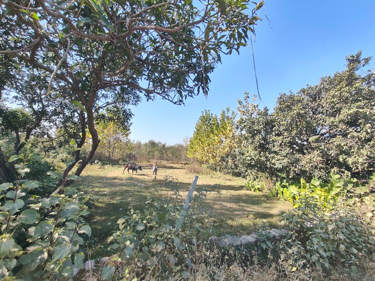 undefined, ramnagar  1000 Sq.Ft. Plot In Ramnagar Nainital 8113323