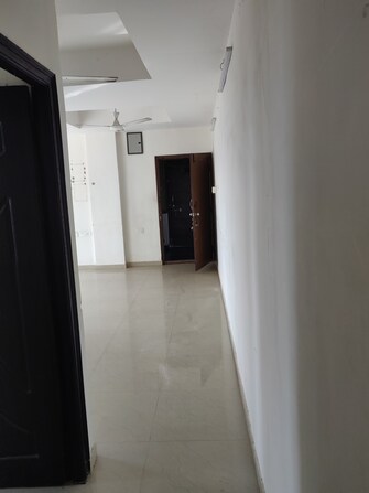 2 BHK Apartment For Rent in Hill View Banjara Hills Banjara Hills Hyderabad  8113374