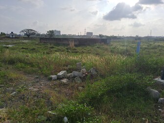 Plot For Resale in Thyagaraja Nagar Tirunelveli  8113492