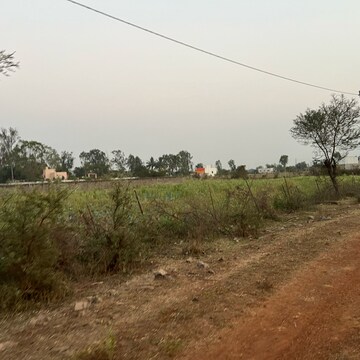  Plot – Exterior View View at Bhatagaon - for Sale