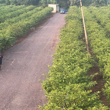  Plot – Exterior View View at Bhatagaon - for Sale