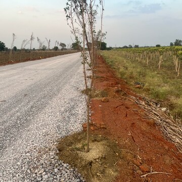  Plot – Exterior View View at Bhatagaon - for Sale