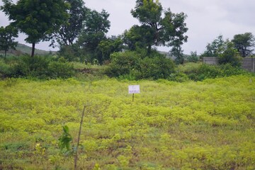 Plot Area in  Plot at Uruli Kanchan – for Sale