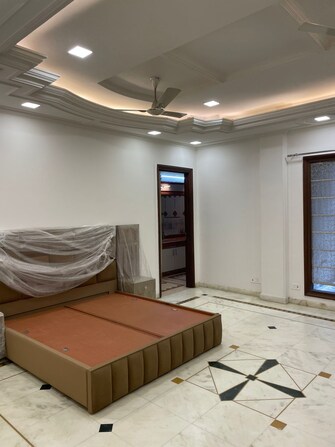 4 BHK Builder Floor For Rent in DLF Queens Court Greater Kailash ii Delhi  8114296