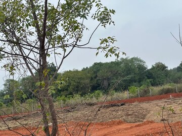 Commercial Land 400 Sq.Yd. For Resale in Renigunta Tirupati  8114405