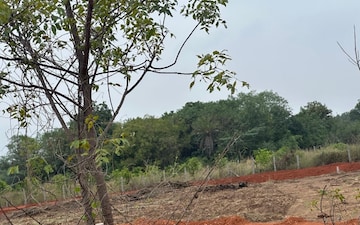 Land For Sale in Renigunta