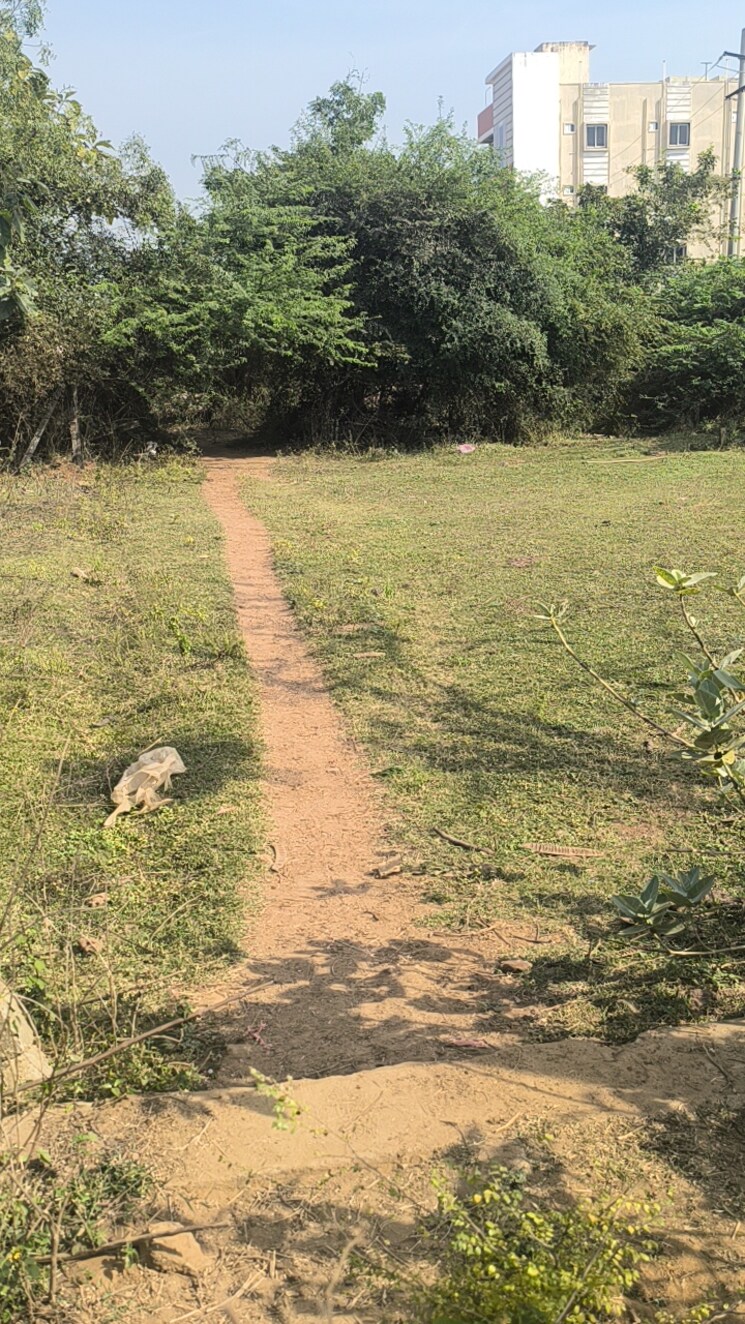 undefined, sujatha nagar  183 Sq.Yd. Plot In Sujatha Nagar Vizag 8114666