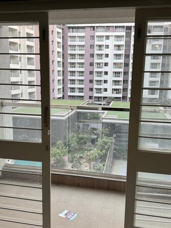 3 BHK Apartment For Rent in Kohinoor Viva City Dhanori Pune  8114897