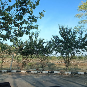 Plot Area in  Plot at Kacharam – for Sale