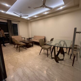 3 BHK Builder Floor For Rent in Veera Safdarjung Enclave Safdarjang Enclave Delhi  8115154