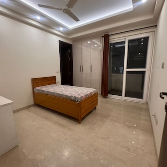 3 BHK Builder Floor For Rent in Veera Safdarjung Enclave Safdarjang Enclave Delhi  8115154