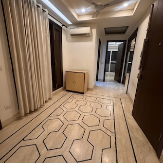 3 BHK Builder Floor For Rent in Veera Safdarjung Enclave Safdarjang Enclave Delhi  8115154