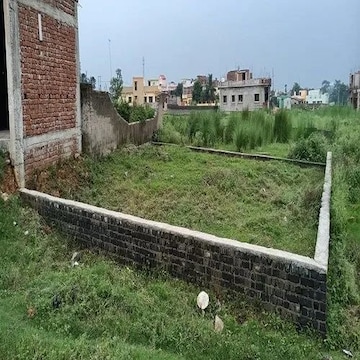 Plot For Resale in Sikandrabad Bulandshahr  8115401