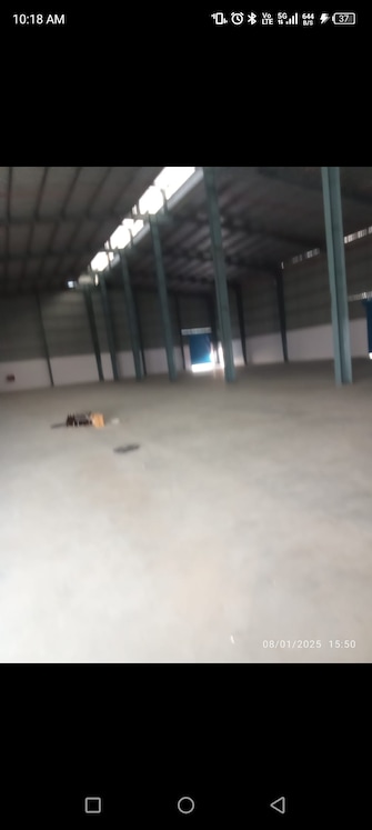 Commercial Warehouse 20000 Sq.Yd. For Rent in Manesar Sector 1a Gurgaon  8115474