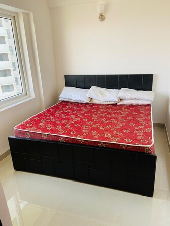 1 BHK Apartment For Rent in Eldeco Edge Sector 119 Noida  8115562