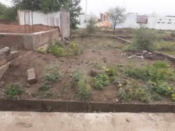  Plot For Sale in Sector 82