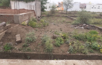 Plot For Sale in Sector 82