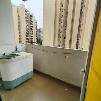 2 BHK Apartment For Rent in Tulip Lemon Sector 70 Gurgaon  8115924