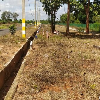 Plot For Resale in Varuna Mysore  8115834