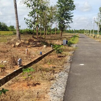 Plot For Resale in Varuna Mysore  8115834