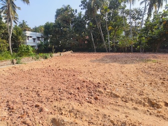 Plot For Resale in Pipinmoodu Thiruvananthapuram  8116013