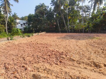 Plot For Resale in Pipinmoodu Thiruvananthapuram  8116013