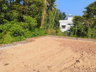 Plot For Resale in Pipinmoodu Thiruvananthapuram  8116013