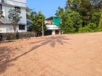 Plot For Resale in Pipinmoodu Thiruvananthapuram  8116013