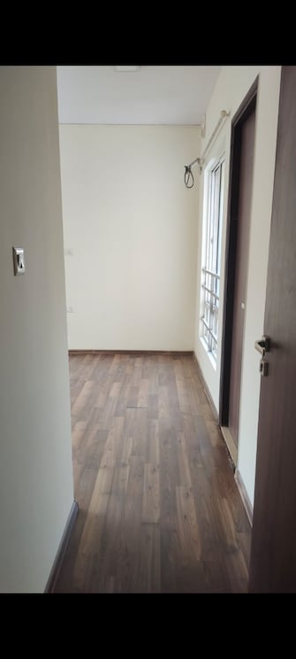 2 BHK Apartment For Rent in Runwal Olive Mulund West Mumbai  8116080