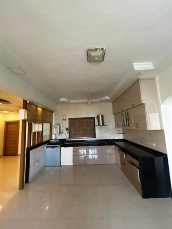 2 BHK Apartment For Rent in NRI Complex Phase I Seawoods Sector 58 Navi Mumbai  8116099