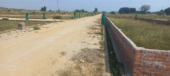 Plot For Resale in Naini Allahabad  8116116