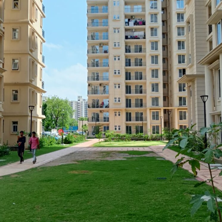 Exterior View, signature-the-serenas 2 Bedroom 683 Sq.Ft. Apartment In Sohna Sector 33 Gurgaon 8116223