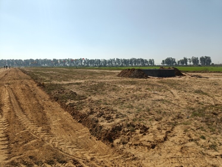 undefined, badsa sector 9  120 Sq.Yd. Plot In Badsa Sector 9 Jhajjar 8116332