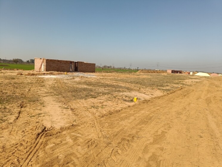 undefined, badsa sector 9  150 Sq.Yd. Plot In Badsa Sector 9 Jhajjar 8116372