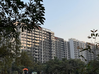 1 BHK Builder Floor For Resale in Godrej Urban Park Chandivali Mumbai  8116395