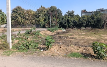 Plot For Sale in Royal Homez, Sector 43