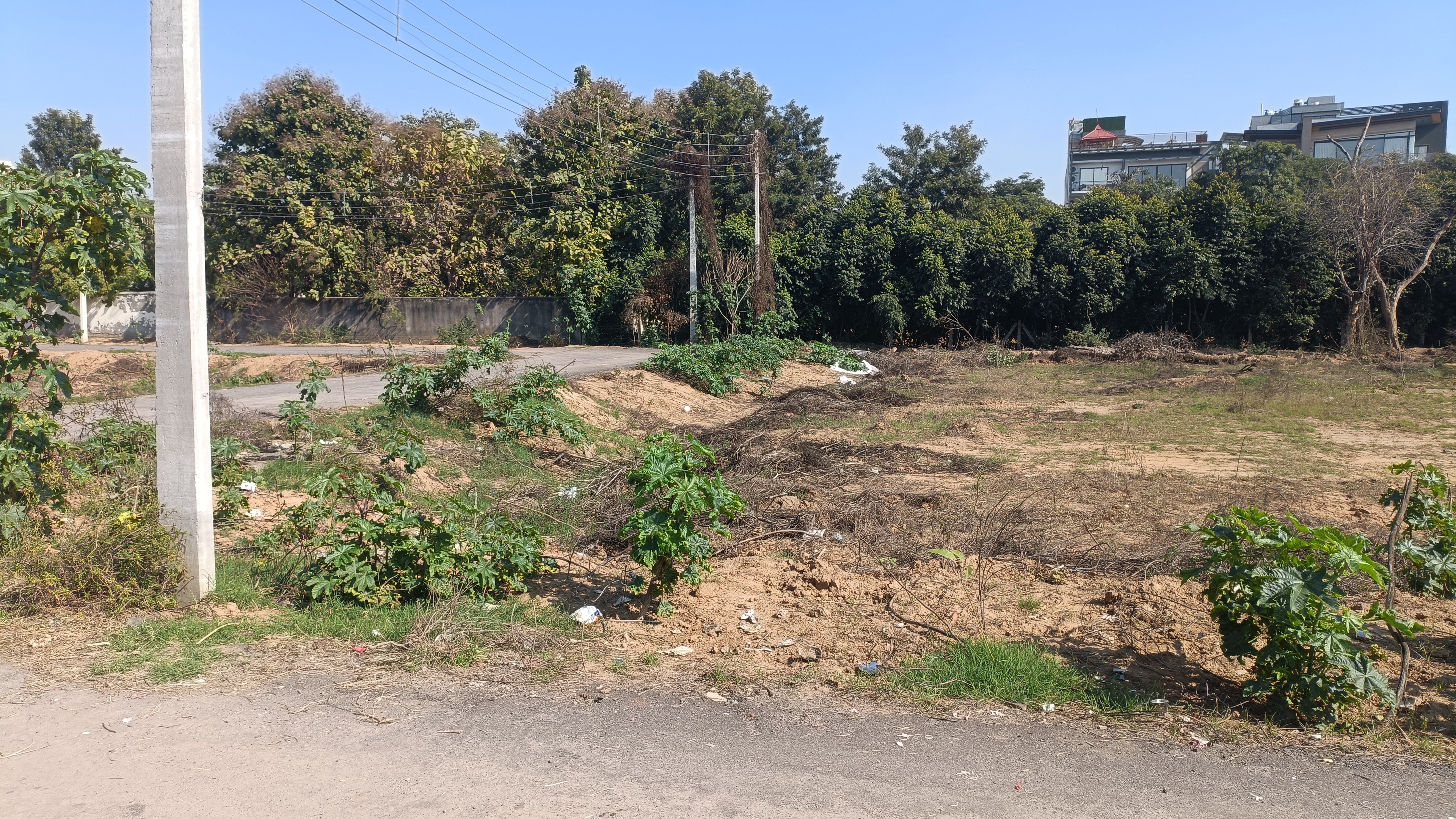 Plot For Sale in Royal Homez