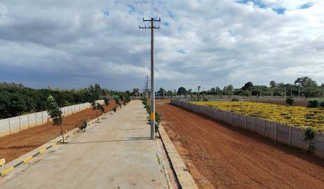 Plot For Sale in Kailash Hospital Khurja B