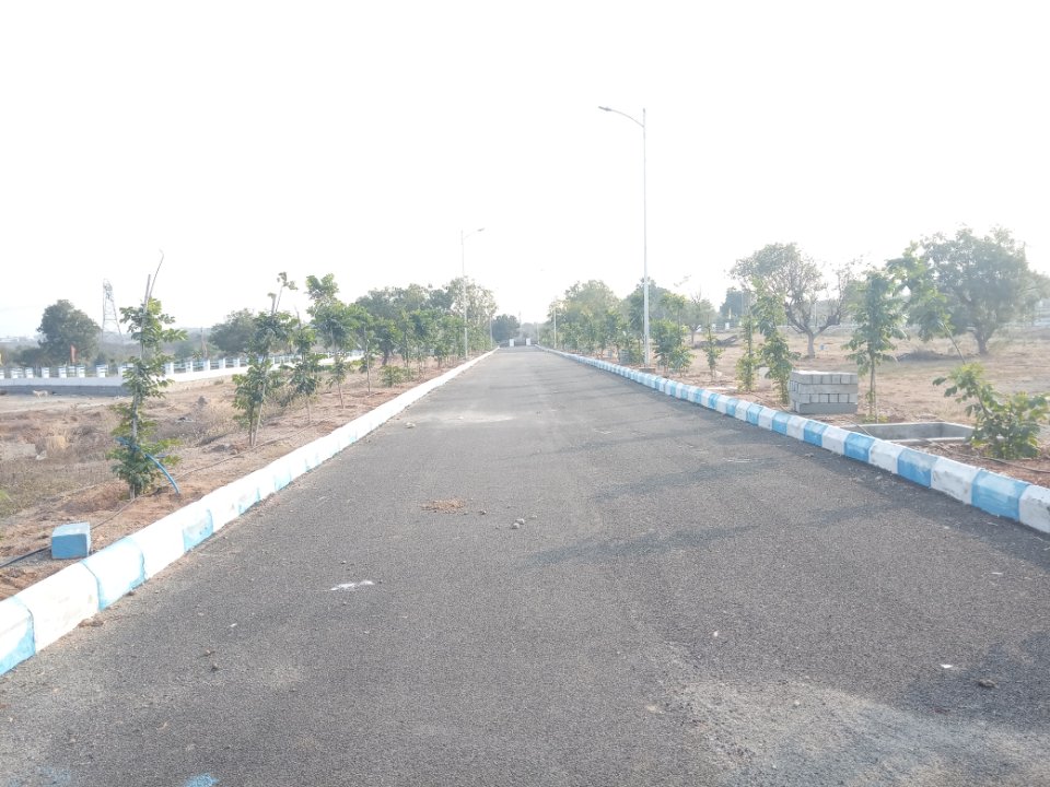 Plot For Sale in YBR Avasa Hills