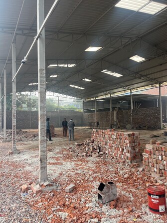 Commercial Warehouse 200 Sq.Yd. For Rent in Ip Colony Faridabad  8116651