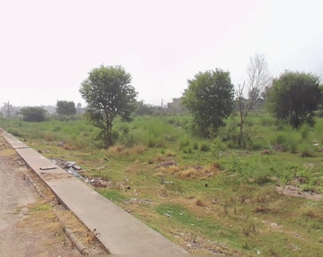 Plot For Resale in Sector 34 Ambala  8116645