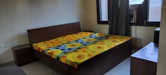 2 BHK Independent House For Rent in RWA Apartments Sector 51 Sector 51 Noida  8116818