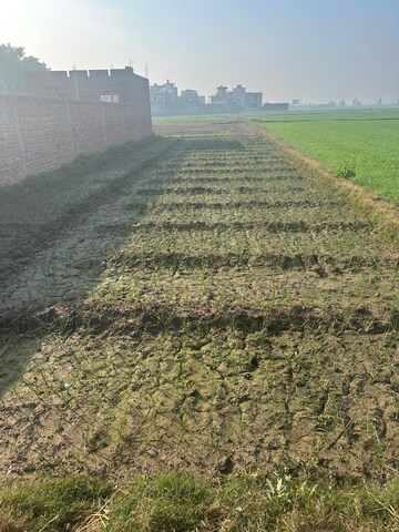  Plot For Sale in Ambala Highway