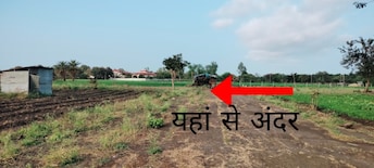 Plot For Resale in Bairagarh Bhopal  8116803