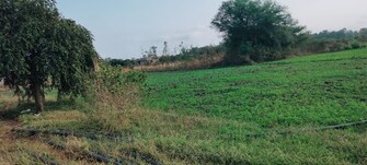 Plot For Resale in Jamoniyachhir Bhopal  8116840