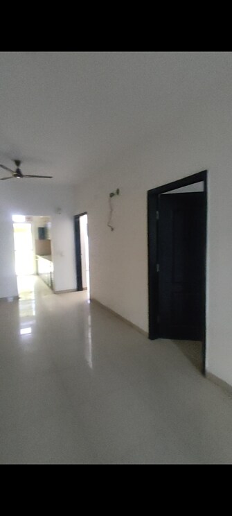 3 BHK Builder Floor For Rent in Omaxe Ambrosia North Mullanpur Chandigarh  8117097