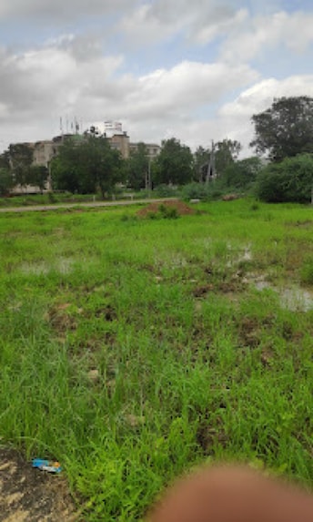 Plot For Resale in Shela Ahmedabad  8117113