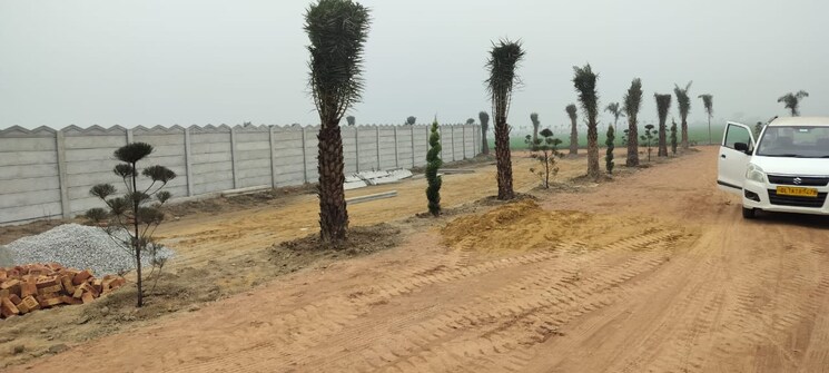 Exterior View, jewar  100 Sq.Yd. Plot In Jewar Greater Noida 8117177