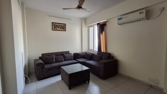 2 BHK Apartment For Rent in Motiaz Royal Citi Ambala Highway Zirakpur  8117484