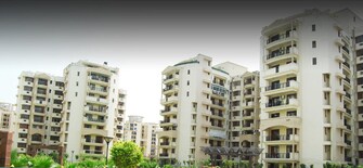 3.5 BHK Apartment For Rent in Parsvnath Exotica Sector 53 Gurgaon  8117542